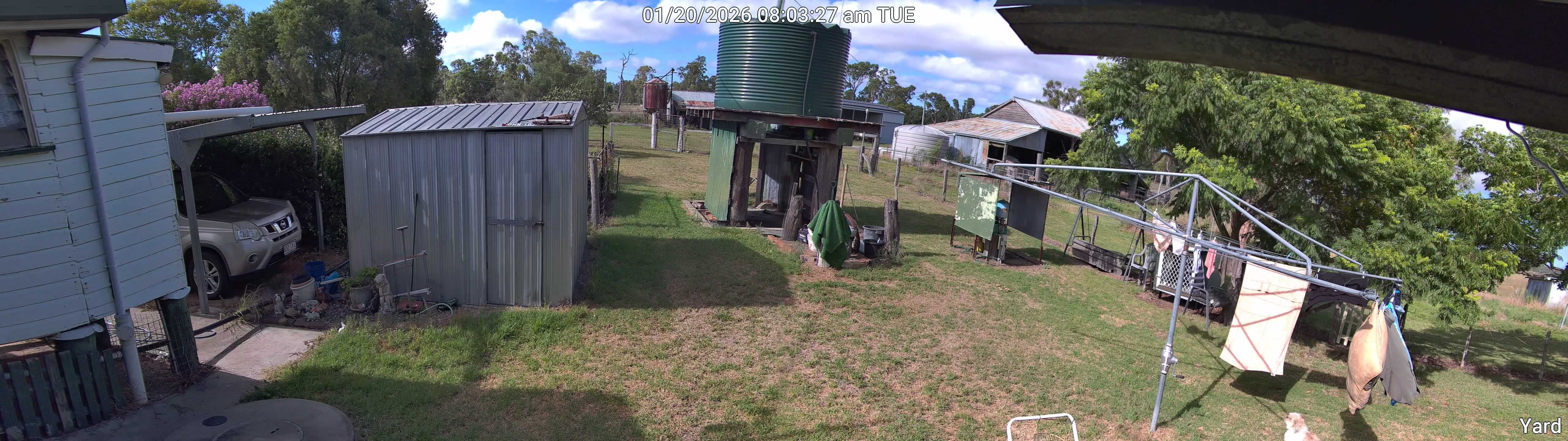 Yard_00_20260120080327.jpg
