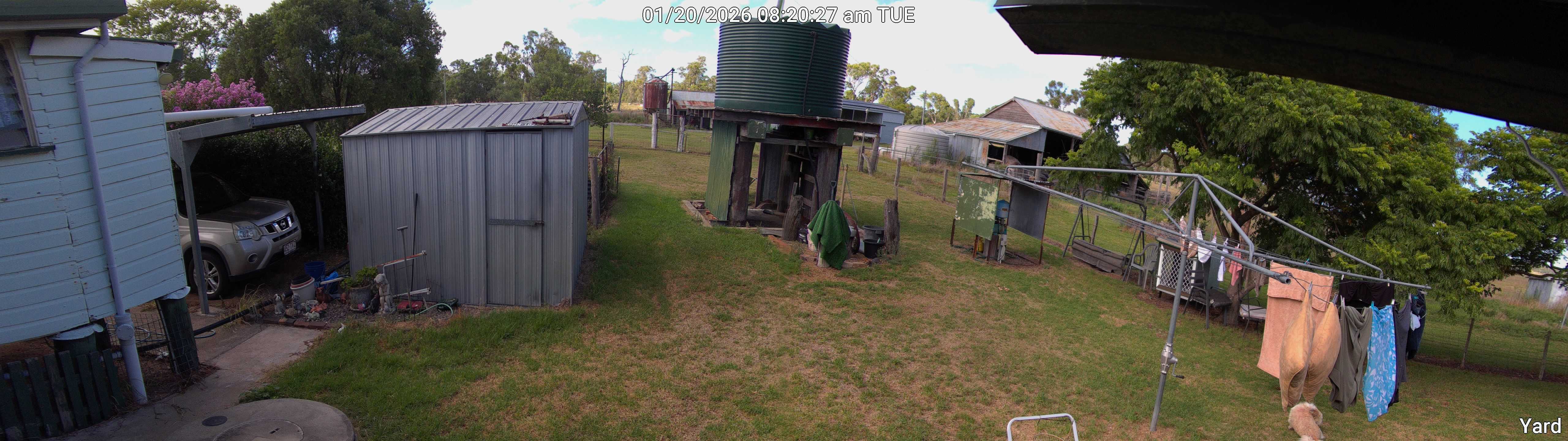 Yard_00_20260120082027.jpg