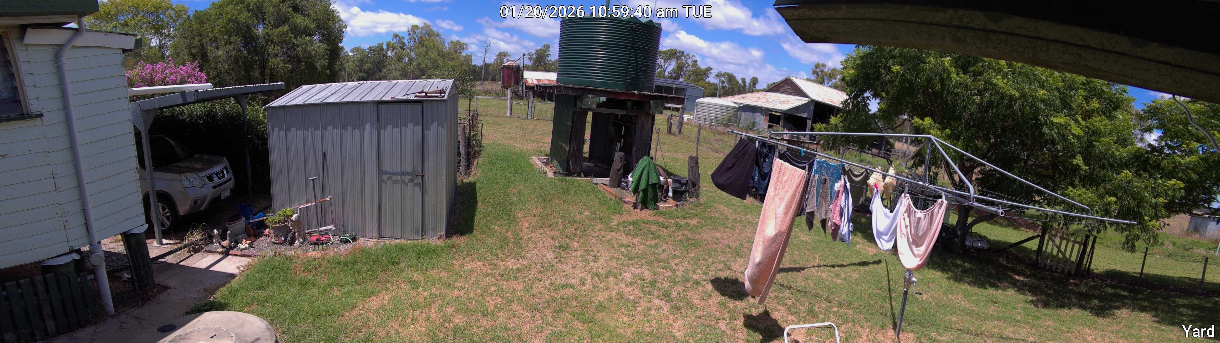 Yard_00_20260120105940.jpg