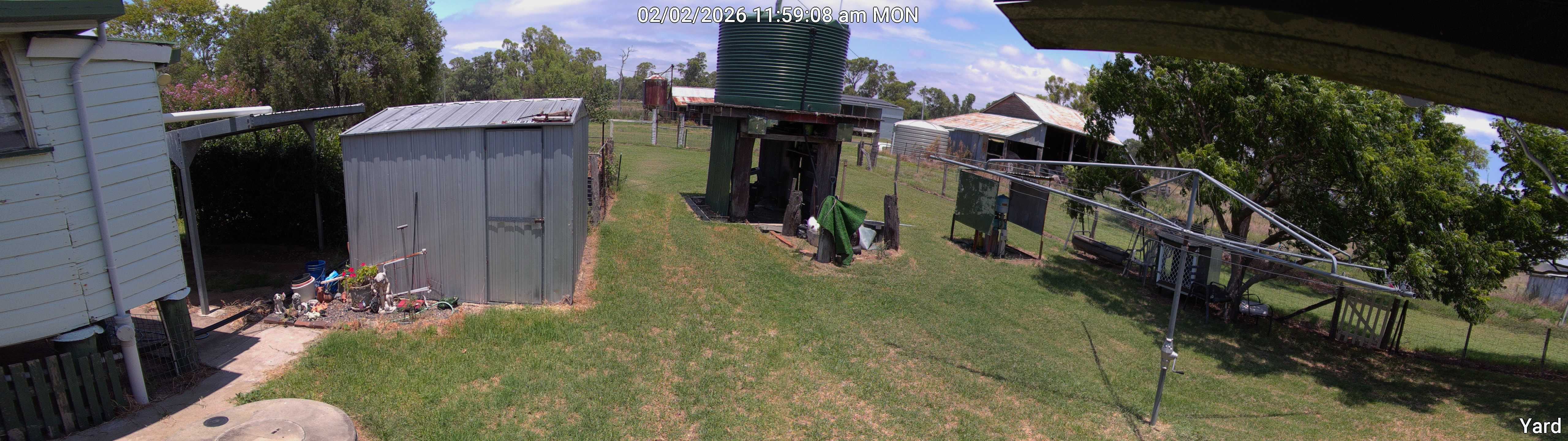 Yard_00_20260202115908.jpg