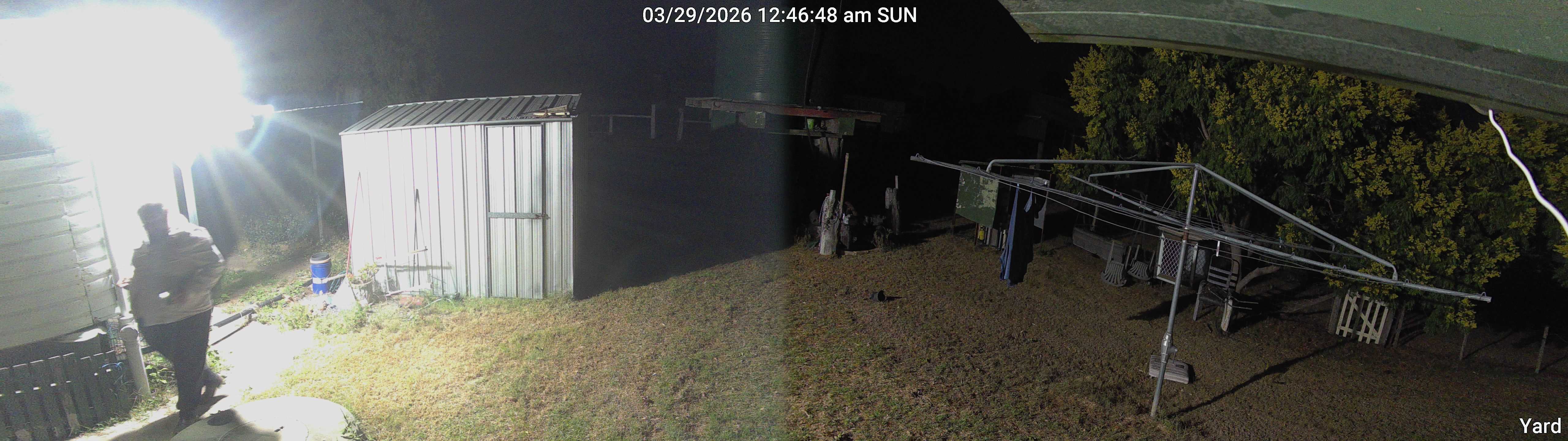 Yard_00_20260329004648.jpg