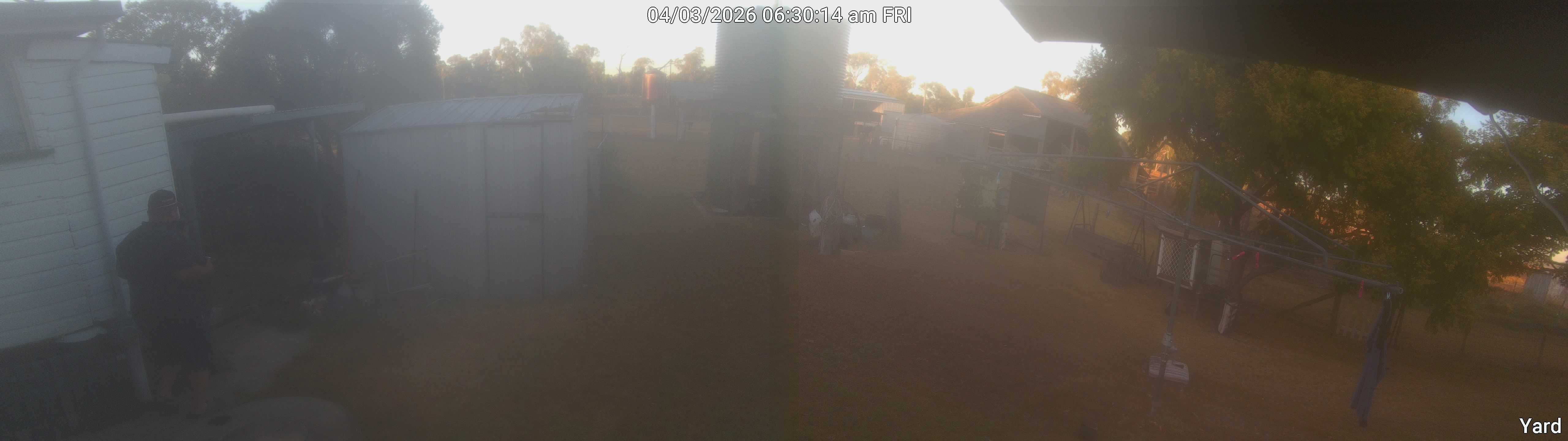 Yard_00_20260403063014.jpg