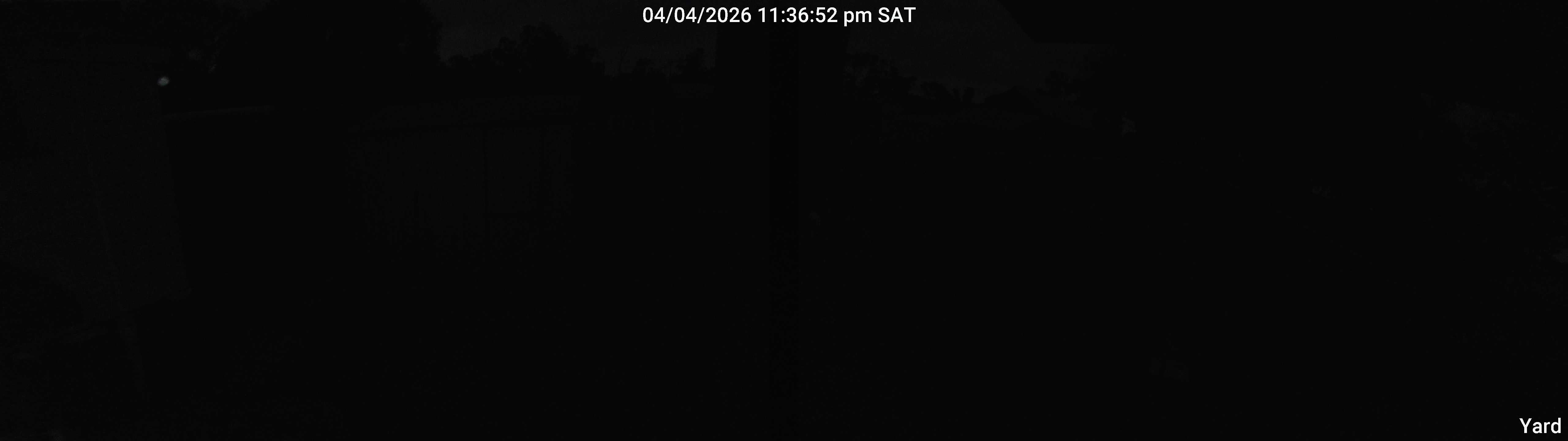 Yard_00_20260404233652.jpg